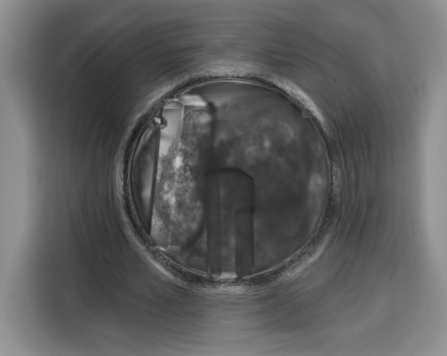 X0000115070581200911241124
