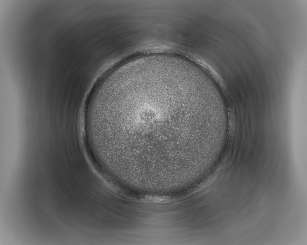 X0000115070582200911241124