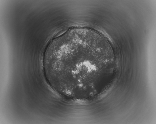 X0000115070585200911241124