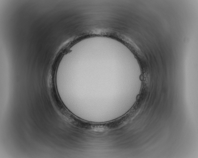 X0000115070587200911241124