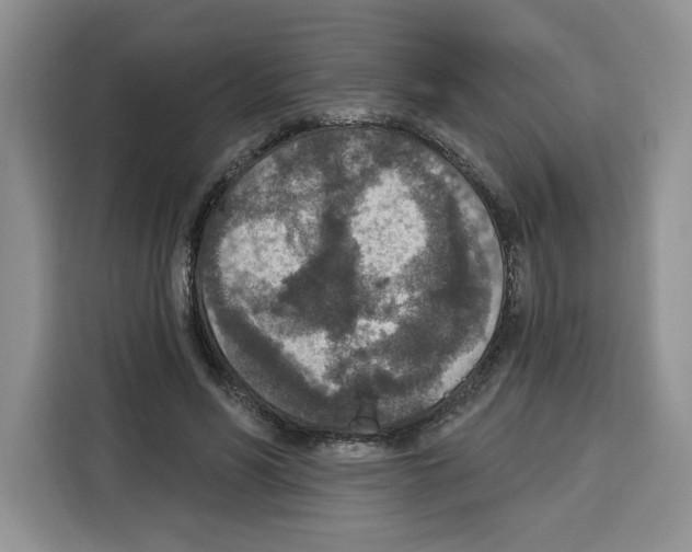 X0000115070590200911241124