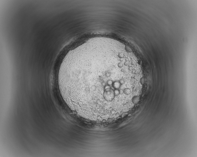 X0000115070591200911241124