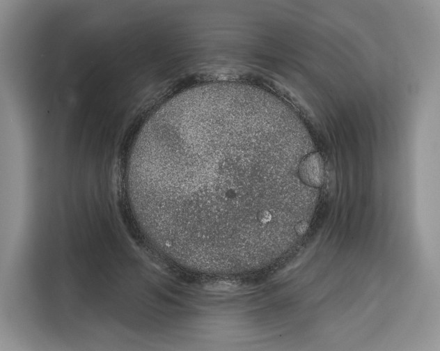 X0000115070594200911241124