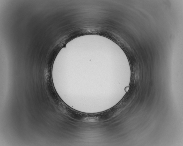 X0000115070595200911241124