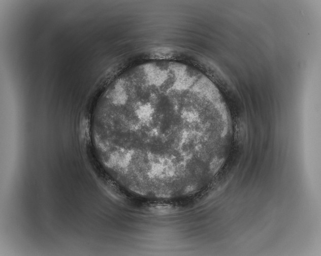 X0000115070598200911241124