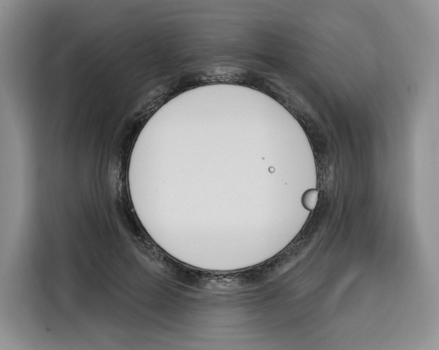 X0000115070599200911241124