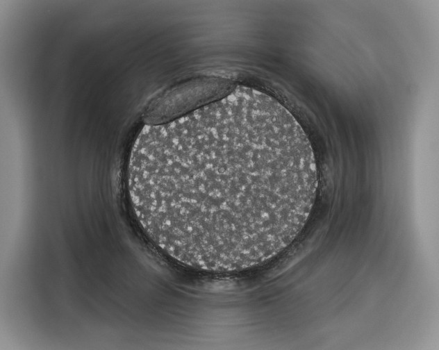 X0000115070600200911241123