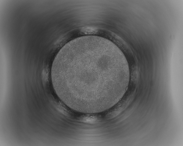 X0000115070604200911241123