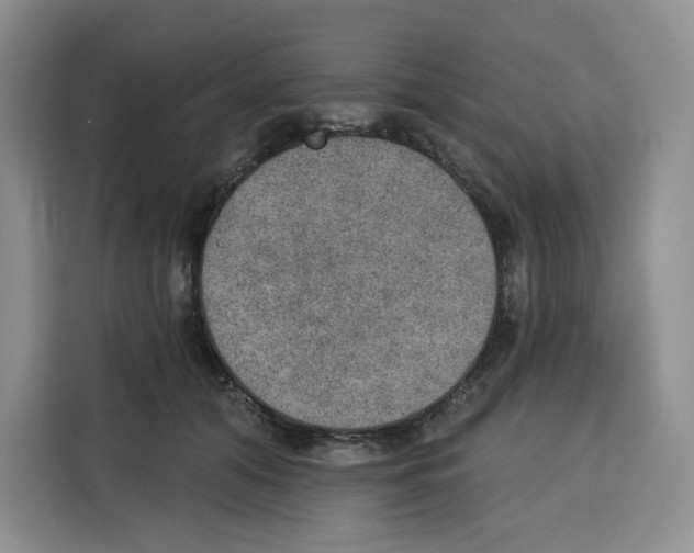 X0000115070608200911241123