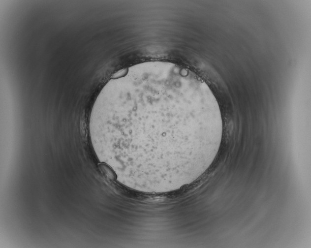 X0000115070609200911241123