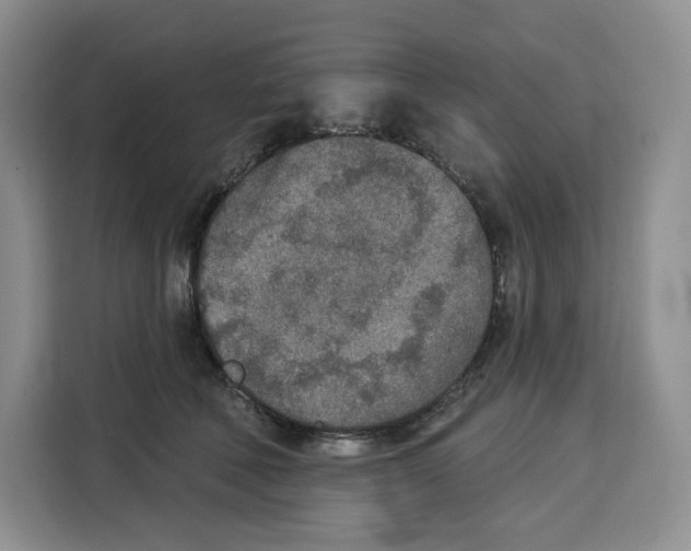 X0000115070610200911241123