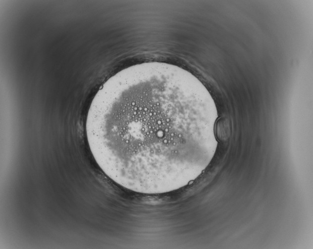 X0000115070613200911241123