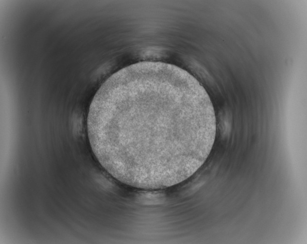 X0000115070619200911241123