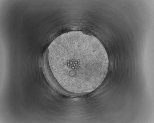 X0000115070620200911241123