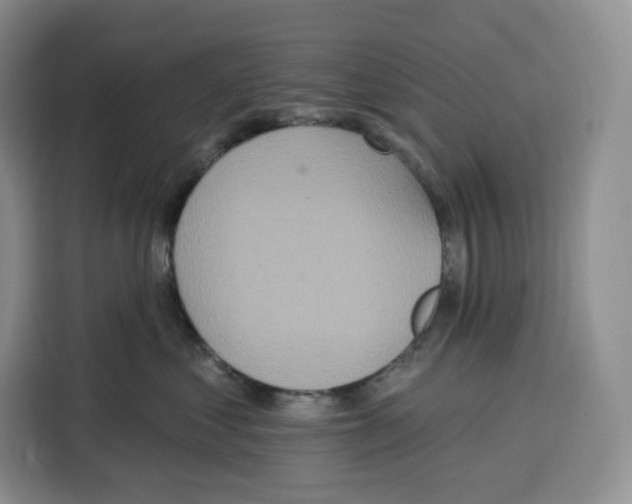 X0000115070621200911241123