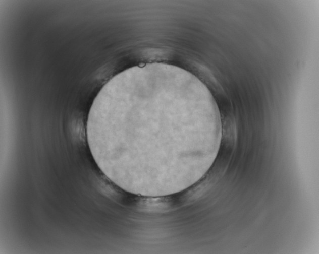 X0000115070622200911241123