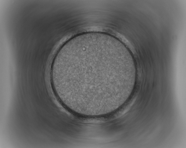 X0000115070625200911241123