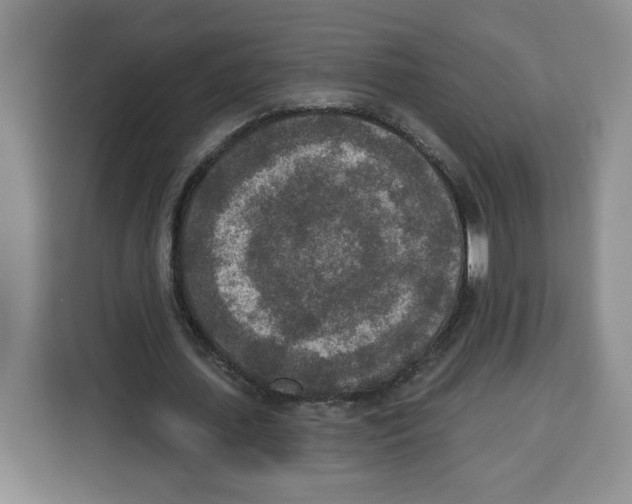 X0000115070627200911241123