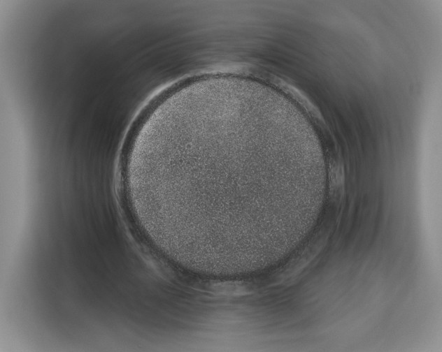 X0000115070628200911241123
