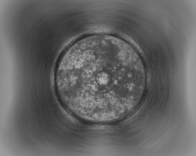 X0000115070629200911241123
