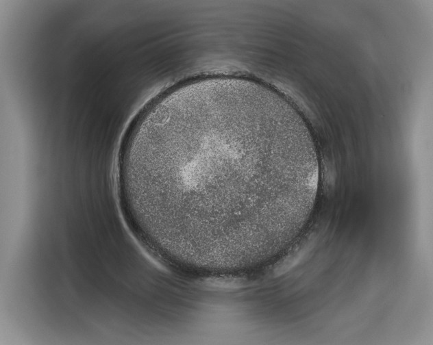 X0000115070630200911241123
