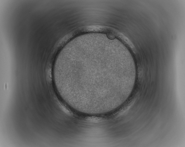 X0000115070633200911241123