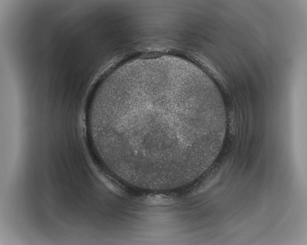 X0000115070634200911241123
