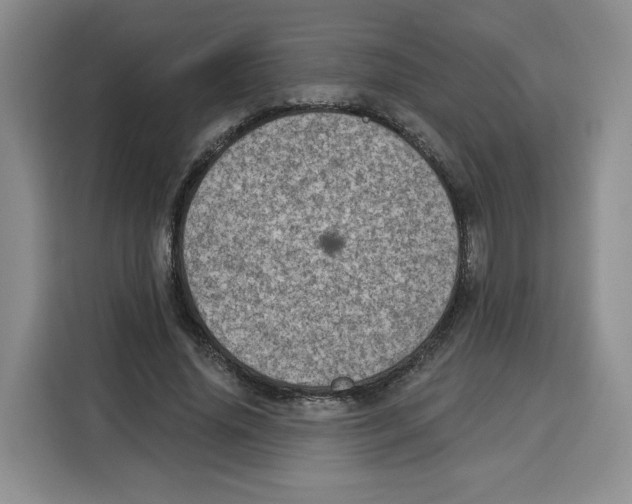X0000115070636200911241123