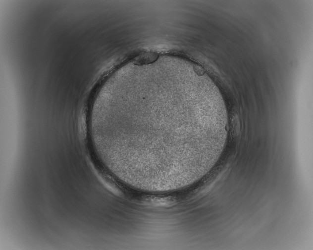 X0000115070638200911241123