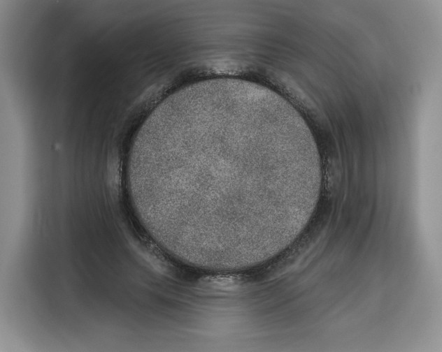 X0000115070639200911241123