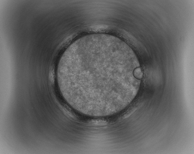 X0000115070644200911241123