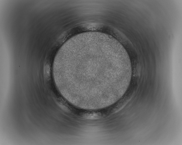 X0000115070646200911241123