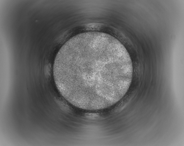 X0000115070649200911241123
