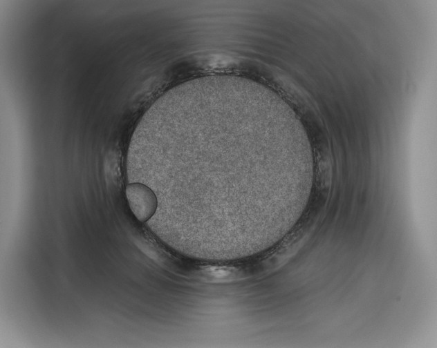 X0000115070654200911241123
