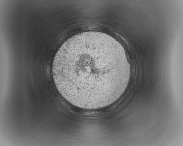 X0000115070657200911241123