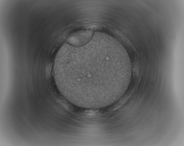 X0000115070660200911241123