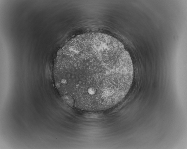 X0000115070661200911241123