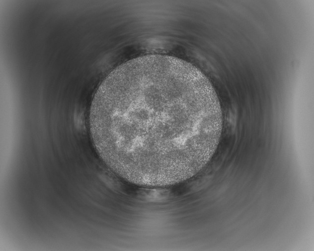 X0000115070663200911241123