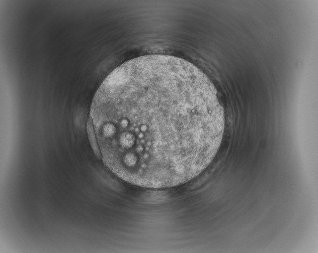 X0000115070665200911241123