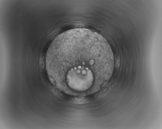 X0000115070666200911241123