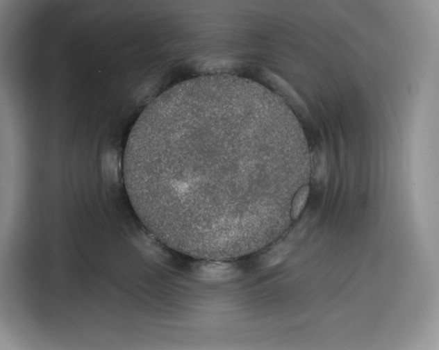 X0000115070669200911241123