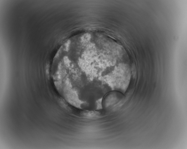 X0000115070670200911241123