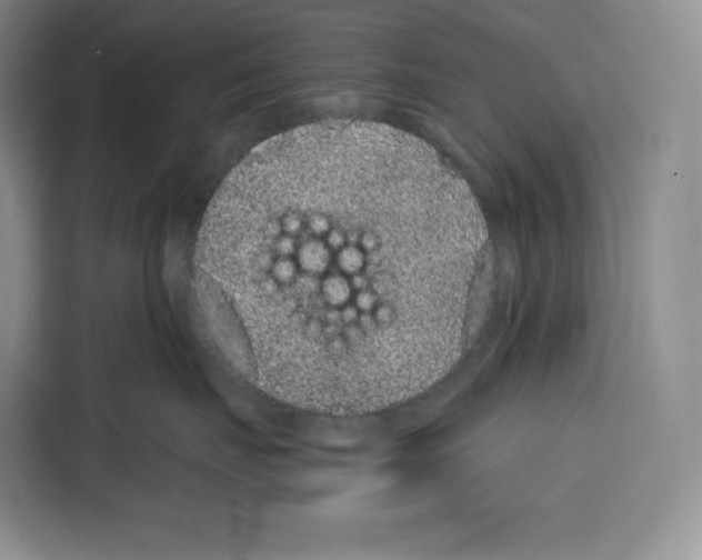 X0000115070671200911241123