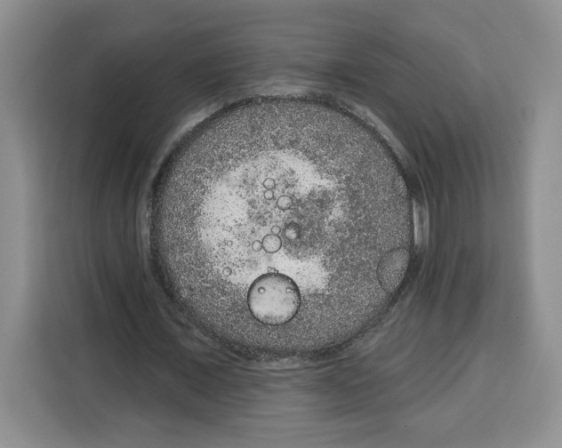 X0000115070675200911241123