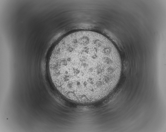 X0000115070679200911241122
