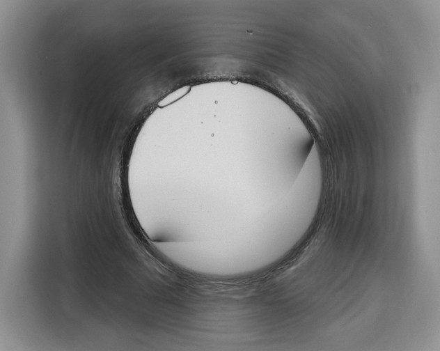X0000115070681200911241122