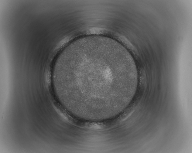 X0000115070683200911241122