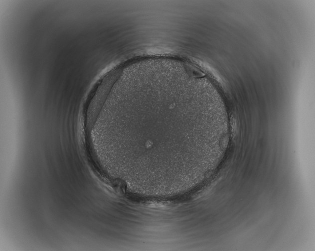 X0000115070684200911241122