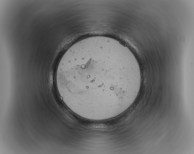 X0000115070685200911241122