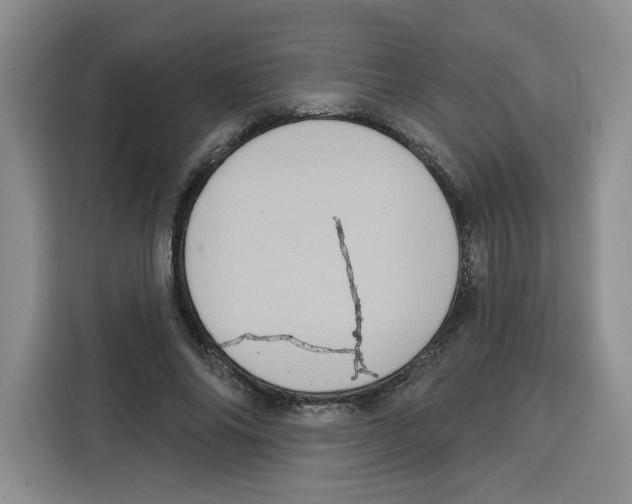 X0000115070686200911241122